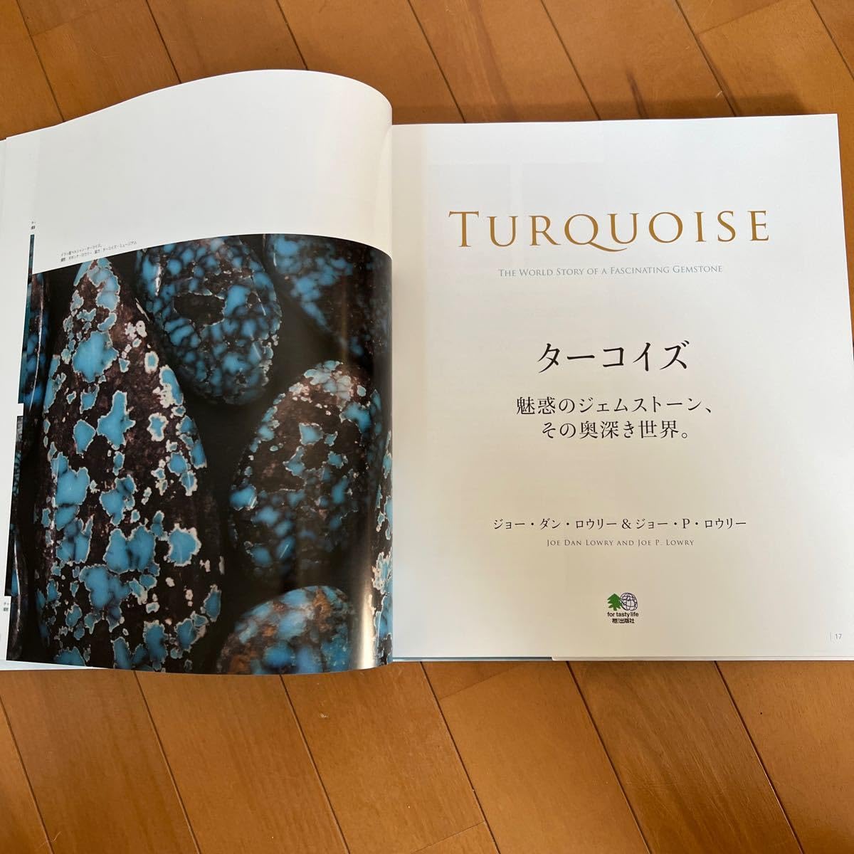 TURQUOISE BOOK ターコイズブック 『日本版』 BOOK ターコイズブック